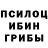 Галлюциногенные грибы Cubensis Rit Grigoryan