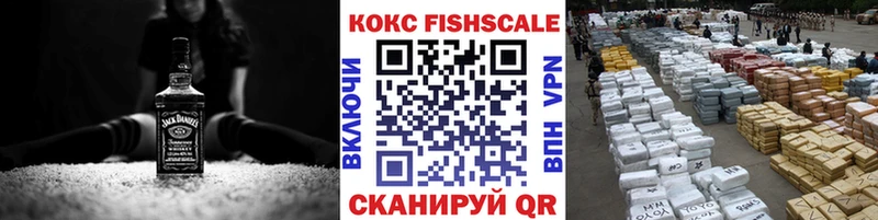 COCAIN Fish Scale  Купить  Луховицы 
