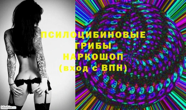 стаф Верея