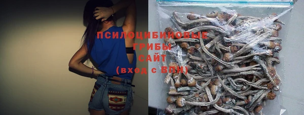 стаф Верея