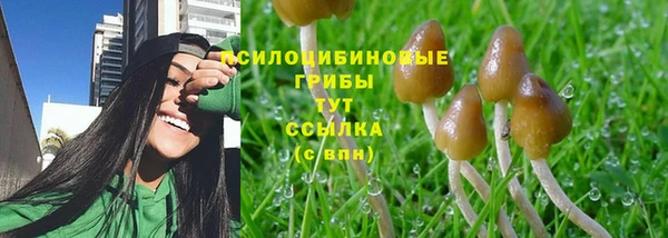 стаф Верея