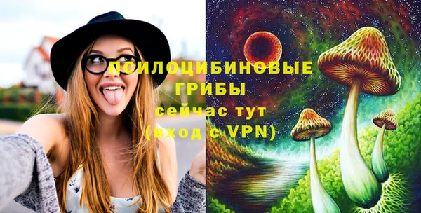 стаф Верея