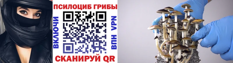 Псилоцибиновые грибы ЛСД  Купить закладки  Луховицы 
